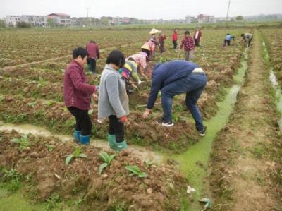 独家特写！什么烟好抽不贵10左右“丰富多彩”